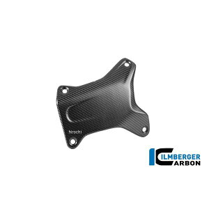 �C�����o�[�K�[ Ilmberger �v���e�N�^�[�J�o�[ ���� �J�[�{���}�b�g BMW R1300GS 23-24 CM.VAL.005.24GSA JP�X