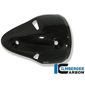 Co[K[ Ilmberger GO][XgveN^[  Ȃ hDJeB Monster 1100/S AHL.003.D696M.K-Monster1100S JPX