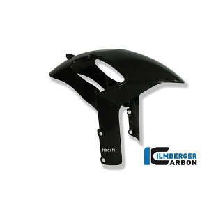 �C�����o�[�K�[ Ilmberger �t�����g�t�F���_�[ ���Ȃ� �h�D�J�e�B Monster 1100 evo 11 KVO.001.D696M.K-Monster1100evo JP�X