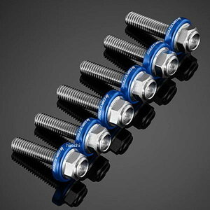 �o�C�J�[�Y BIKERS �X�N���[���p �X�e�����X�{���g 6�� �u���[ 23�N-24�N ���}�n YZF-R125 C0424-BLU JP�X