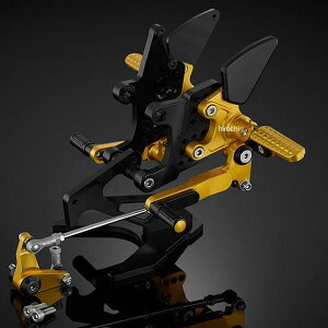 �o�C�J�[�Y BIKERS �o�b�N�X�e�b�v ���C�g�S�[���h 19�N-24�N �z���_ CB650R H0590-LGD JP�X