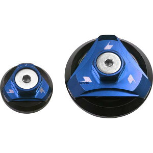 �o�C�J�[�Y BIKERS �G���W���v���O 2�� �u���[ 16�N-22�N �J���T�L Z125 PRO K0145-BLU JP�X