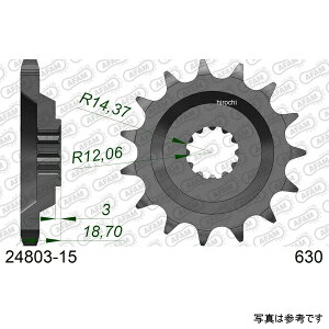 �A�t�@�� AFAM �t�����g�X�v���P�b�g 15T/630 �J���T�L 06�N-08�N ZZR1400 ZX-14 A6-A8 �� 24803-15 JP�X