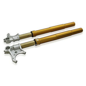 �I�[�����Y OHLINS �t�����g�t�H�[�N FGRT BMW 17�N-23�N RnineT FGRT226 JP�X