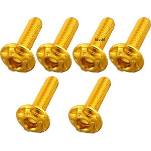 �y���[�J�[�݌ɂ���z �|�b�V�� POSH �r���b�g�X�N���[���{���g�Z�b�g M5x18mm4�{/M5x20mm2�{ 09�N-16�N �J���T�L ZRX1200 DAEG �S�[���h 507035-04 JP�X