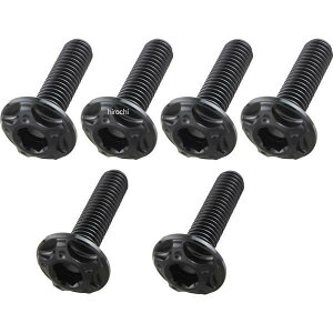 �|�b�V�� POSH �r���b�g�X�N���[���{���g�Z�b�g M5x18mm4�{/M5x20mm2�{ 09�N-16�N �J���T�L ZRX1200 DAEG �u���b�N 507035-06 JP�X