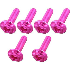 �|�b�V�� POSH �r���b�g�X�N���[���{���g�Z�b�g M5x18mm4�{/M5x20mm2�{ 09�N-16�N �J���T�L ZRX1200 DAEG �s���N 507035-32 JP�X