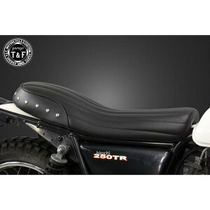 �K���[�WT&F �X�^�b�h�t���_�u���V�[�g �o�[�`�J�� �J���T�L 250TR 8042124 JP�X