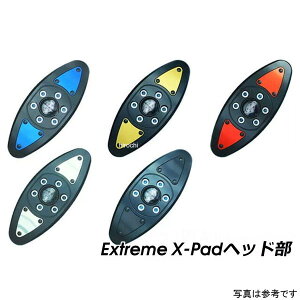 P&A �N���b�V���p�b�h Extreme X-Pad �u���[ 09�N-16�N �A�v�����A RSV4 39AP03AB JP�X