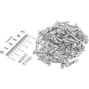 y[J[݌ɂz G[ [qEp[c M{V[q(IX) 1001 JPX