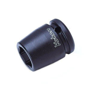 y[J[݌ɂz R[P Ko-ken 1/2C`sq CpNg\Pbg(12p) 15mm 14405M-15 JPX