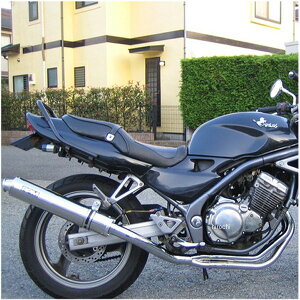 A[s[G RPM tGL][Xg NEW4in2in1 91N-99N oIX XeX 1250 JPX