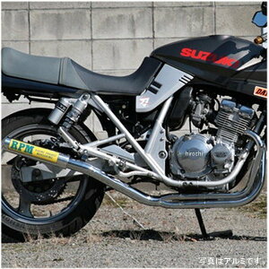 4613Y A[s[G RPM tGL][Xg 67[VO 91N-99N J^i GSX250S `^ 4613Y-01 JPX