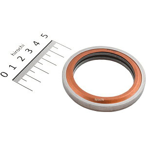 y[J[݌ɂz NTB GL][XgKXPbg NSR250R 18293-KV3-004 GK436-592-80 JPX