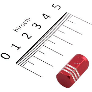 y[J[݌ɂz VK-RE TNKH GAouLbv  4984679801839 JPX