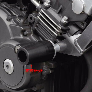 y[J[݌ɂz fCgi GW veN^[ HORNET250 79923 JPX