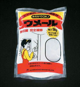 y[J[݌ɂz GXR ESCO 1.0kg ЂъC zCg 000012023766 JPX