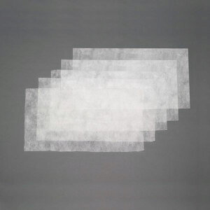 y[J[݌ɂz GXR ESCO 400x700mm X|bgN[[ptB^[(R/5) EA897AZ-21 JPX