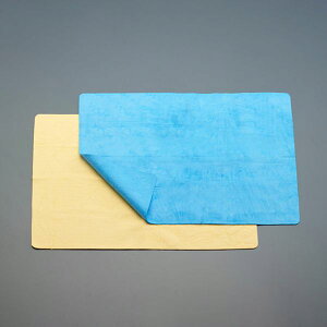 y[J[݌ɂz GXR ESCO 430x325mm ԃ^I(2) EA929DB-209 JPX