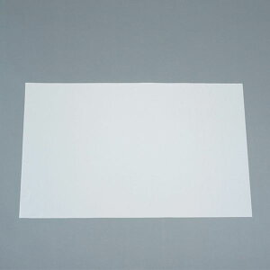 y[J[݌ɂz GXR ESCO 500x500x 0.23mm ϔMKXNXt@ EA997WC-52 JPX