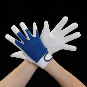 y[J[݌ɂz GXR ESCO LL (؊v) 000012327250 JPX