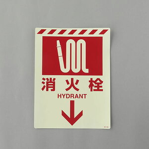 y[J[݌ɂz GXR ESCO 300x225mm ~Ί\XebJ[(ΐ 000012345594 JPX