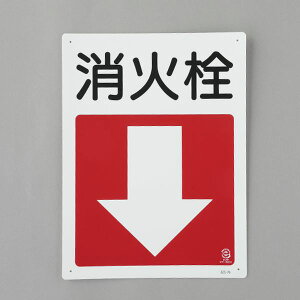y[J[݌ɂz GXR ESCO 300x225mm ΊW(ΐ) 000012345610 JPX