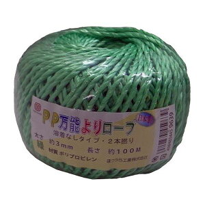 y[J[݌ɂz GXR ESCO 3.0mmx100m PP[vinȂ^΁j EA628PR-33 JPX