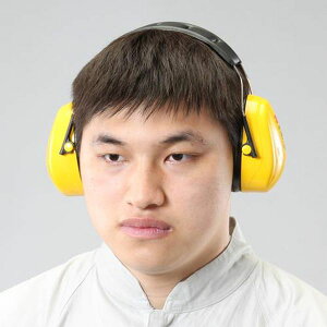 y[J[݌ɂz GXR ESCO C[}t EA800WC-1 JPX