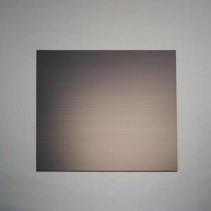 �y���[�J�[�݌ɂ���z �G�X�R ESCO 900x1500x3mm �v���_���i�T���v���C�E���d�^2���j EA911BD-303 JP�X