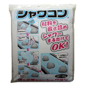 y[J[݌ɂz GXR ESCO 10kg Zg (ƕsv) EA934KB-11 JPX