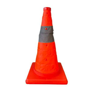 y[J[݌ɂz GXR ESCO 250x250x450mm J[R[ (LEDt/Lk) EA983FT-200A JPX