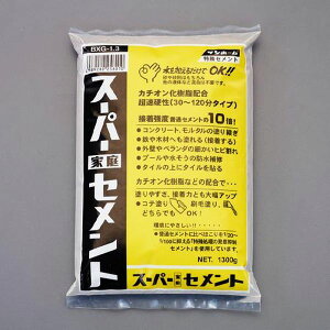 【メーカー在庫あり】 エスコ ESCO 1.3kg 超急硬セメント(灰色/発塵抑制) EA934HA-10 JP店