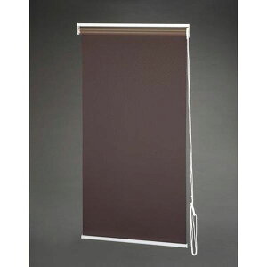 �y���[�J�[�݌ɂ���z �G�X�R ESCO 900x2200mm ���[���X�N���[��(�Ռ�/�u���E��) EA970KG-25B JP�X