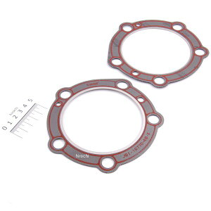 �yUSA�݌ɂ���z �W�F�[���Y JAMES �V�����_�[�w�b�h�K�X�P�b�g 1.14mm 48�N-65�N EL/FL �t�@�C�A�����O (2����) DS-174402 JP�X