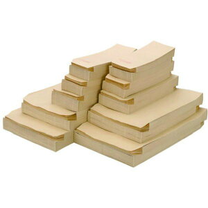 y[J[݌ɂz P283JK2 vX() JTX 321942)Ntg p2 250 P283J-K2 JPX