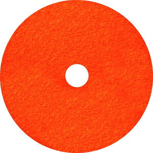 y[J[݌ɂz TSo() NORTON uCY t@Co[fBXN P24 25 2FI180F98024 JPX