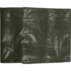 y[J[݌ɂz OGS405 ()^JCN ^JCN 4000 ODO[V[g 2.7m×3.6m OGS-405 JPX