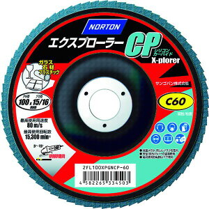 �y���[�J�[�݌ɂ���z �T���S�o��(��) NORTON XPCP�t���b�v�f�B�X�N C100 10������ 2FL100XPGNCP-100 JP
