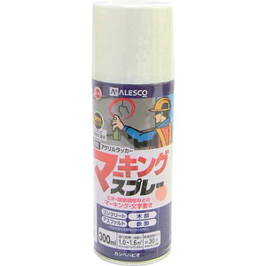 �y���[�J�[�݌ɂ���z 349421 (��)�J���y�n�s�I KANSAI �}�[�L���O�X�v���[K 300ML �� 349-421 JP�X
