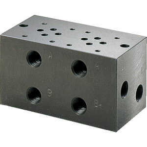 �y���[�J�[�݌ɂ���z BT30250 �_�C�L���H��(��) �_�C�L�� �}�j�z�[���h�u���b�N �z�ǐڑ����aRc3/8 BT-302-50 JP�X