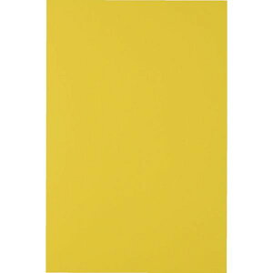 �y���[�J�[�݌ɂ���z MSA2Y �g���X�R���R(��) TRUSCO �}�O�l�b�g�V�[�g���L200X300 �� MS-A2-Y JP�X