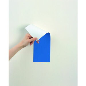 y[J[݌ɂz MSR10BW ()}OGbNX }OGbNX }OlbgʃJ[V[g MSR-10BW JPX