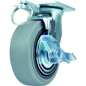 y[J[݌ɂz TP6650MIRBBTGTLB SAMSONG SAMSONG d׏dpLX^[  S125mm u[Lt TP6650-MIR BB TG TLB JPX