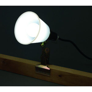 y[J[݌ɂz ILW85GBC3 569994 PROLEDS LEDNbvCghH^ (60`) ILW-85GBC3 JPX