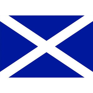 y[J[݌ɂz ()  No.2(90×135cm) XRbgh 426351 JPX