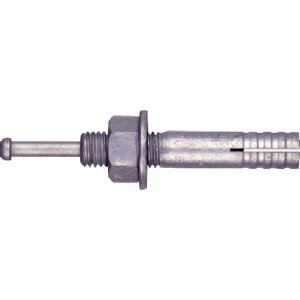 y[J[݌ɂz C2019D eNm I[AJ[C[D^Cv nZ߂ ~˂ M20 10{ C-2019D JPX