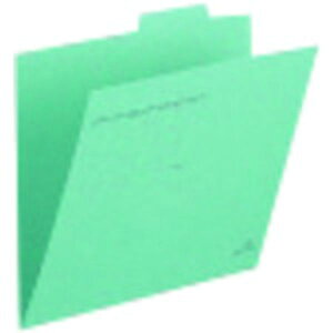 y[J[݌ɂz FL001IFGR vX() vX 87834)ʃtH_FL001IF A4 GR FL-001IF JPX