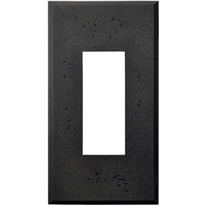 �y���[�J�[�݌ɂ���z PXPAC01BL (210027180)PXP-AC01-BL�X�C�b�`�v���[�g�E�R���Z���g�v���[�g PXP-AC01-BL JP�X