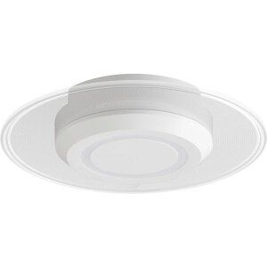 y[J[݌ɂz SCL75DLGP 529229 ^V[OCg  750lm F zCg SCL-75D-LGP JPX